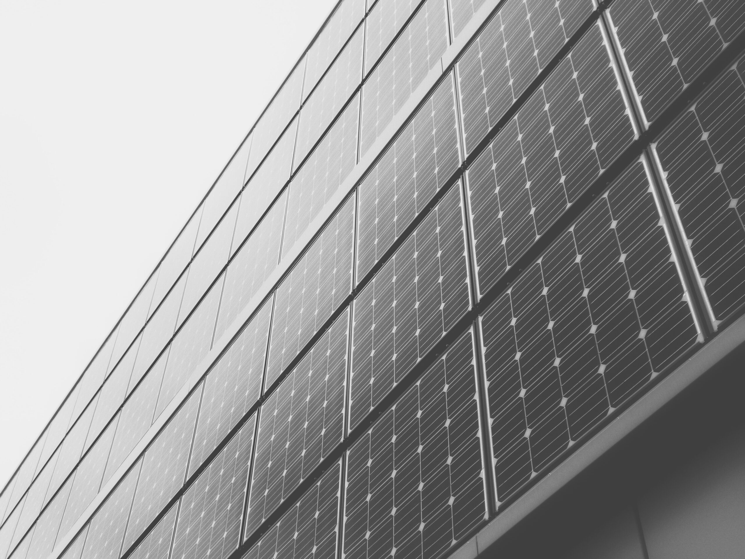 Sello del Registro de Huella de Carbono: Un Compromiso con la Sostenibilidad