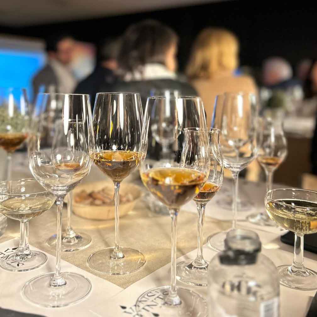 Wines and Tints: An encounter between viticulture and textiles